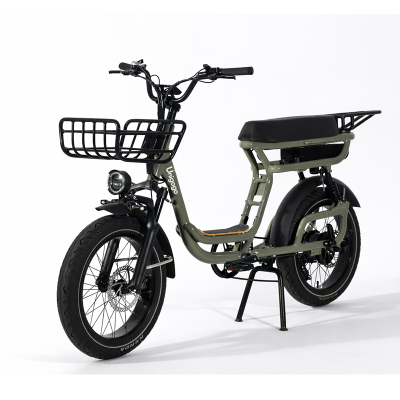 N3 20 Inch Electric Mountain B - Mountain Biking App recension och pris