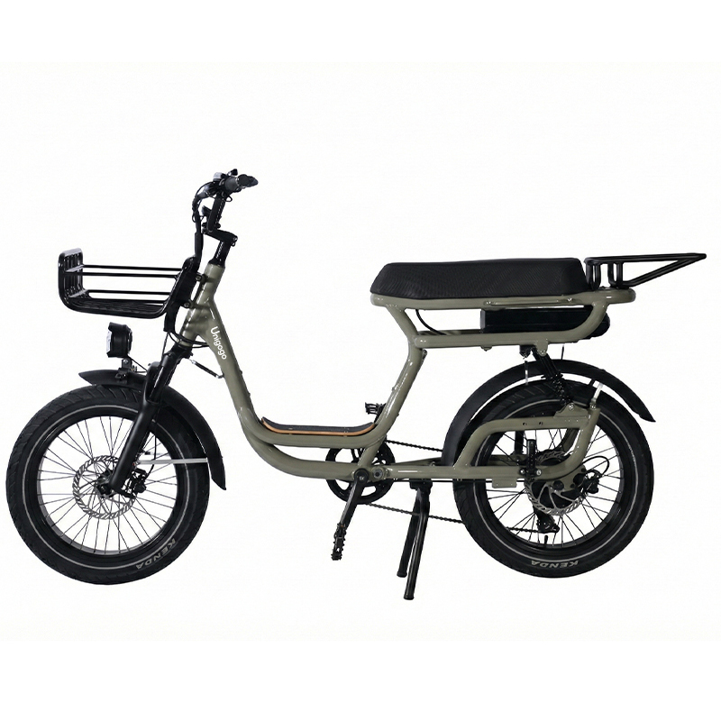 N3 20 Inch Electric Mountain B - Mountain Biking App recension och pris